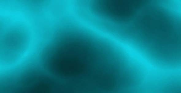 Category banner image