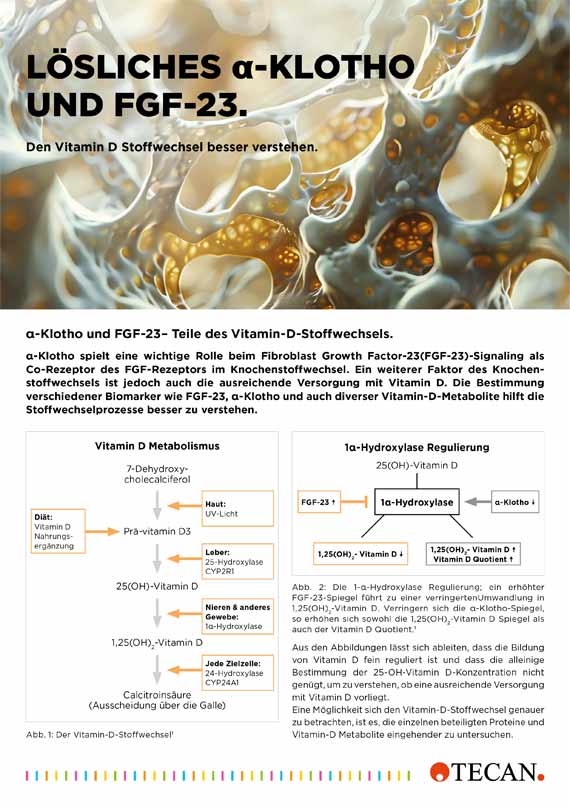 Flyer Reverse T3 ELISA