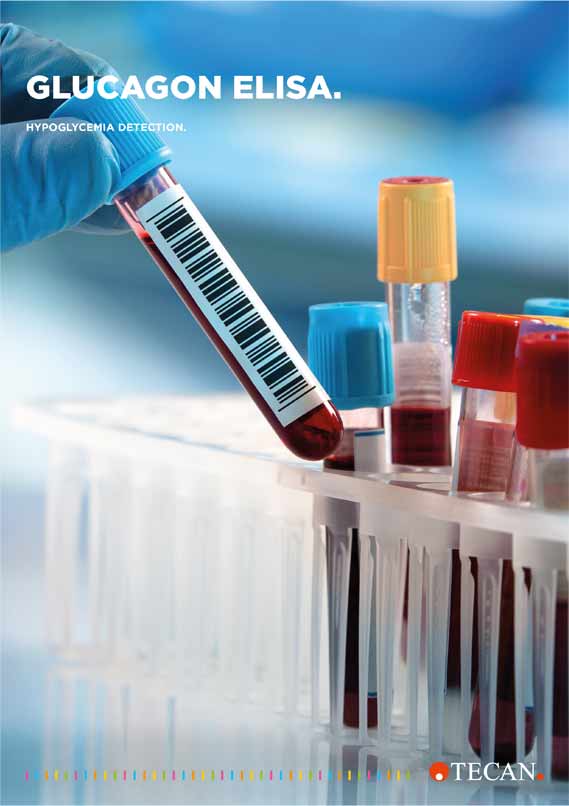 Flyer Glucagon ELISA