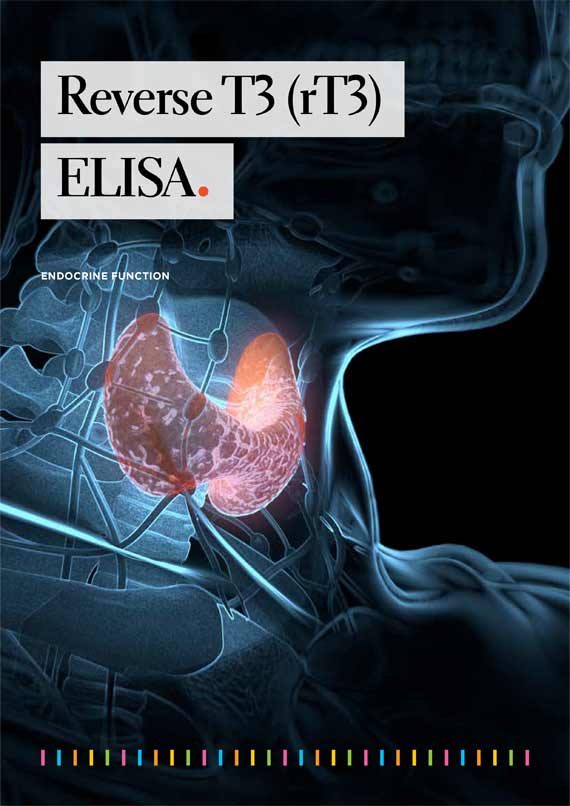Flyer Reverse T3 ELISA