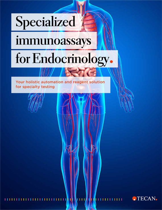 Brochure endocrinology