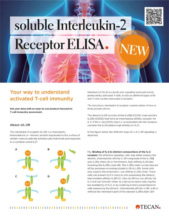 Flyer sInterleukin-2-Receptor ELISA