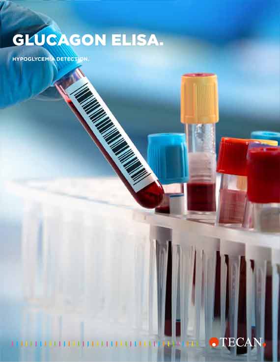 Flyer Glucagon ELISA
