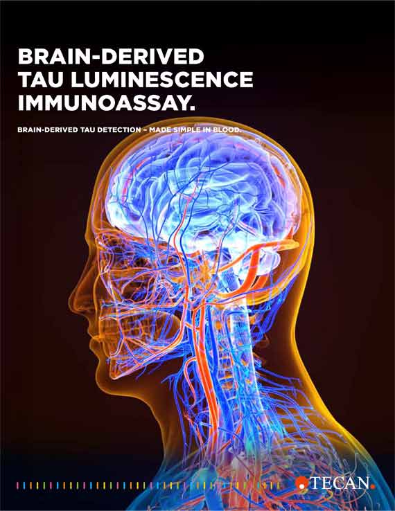 Flyer BD-Tau LUM