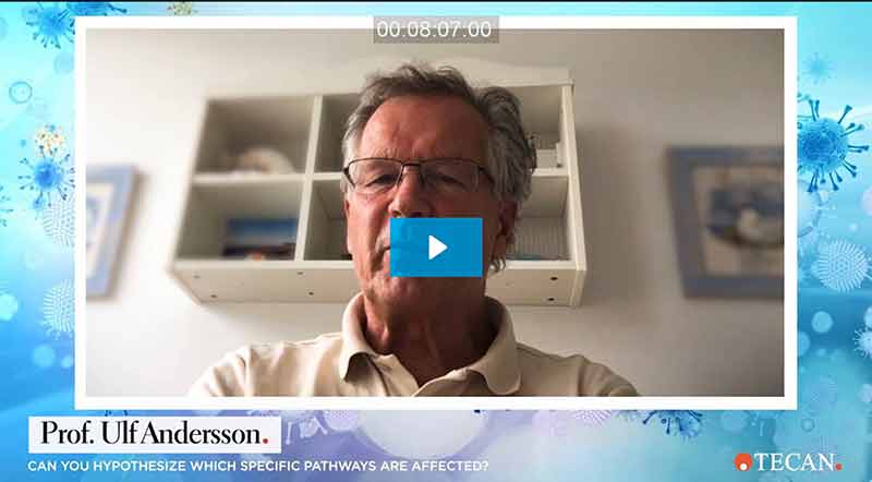 Video: HMGB1 to help in the understanding of the COVID-19 disease