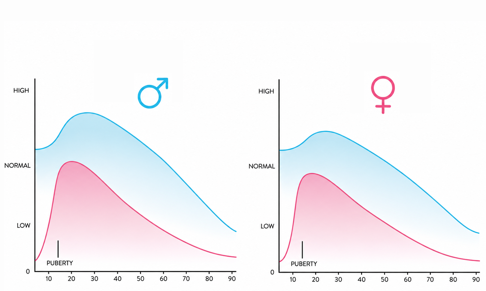 DHEA and cortisol levels by age