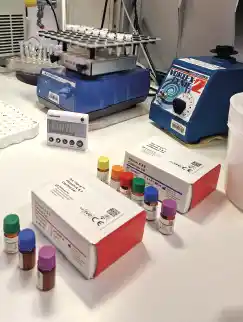 lab