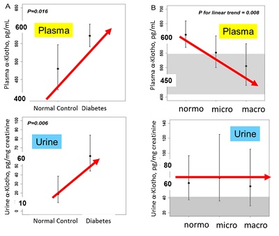 alpha Klotho renal function