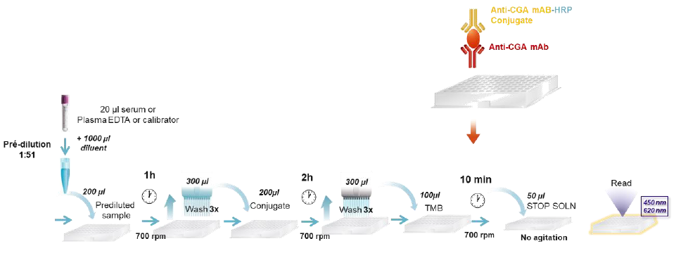 Chromogranin A workflow